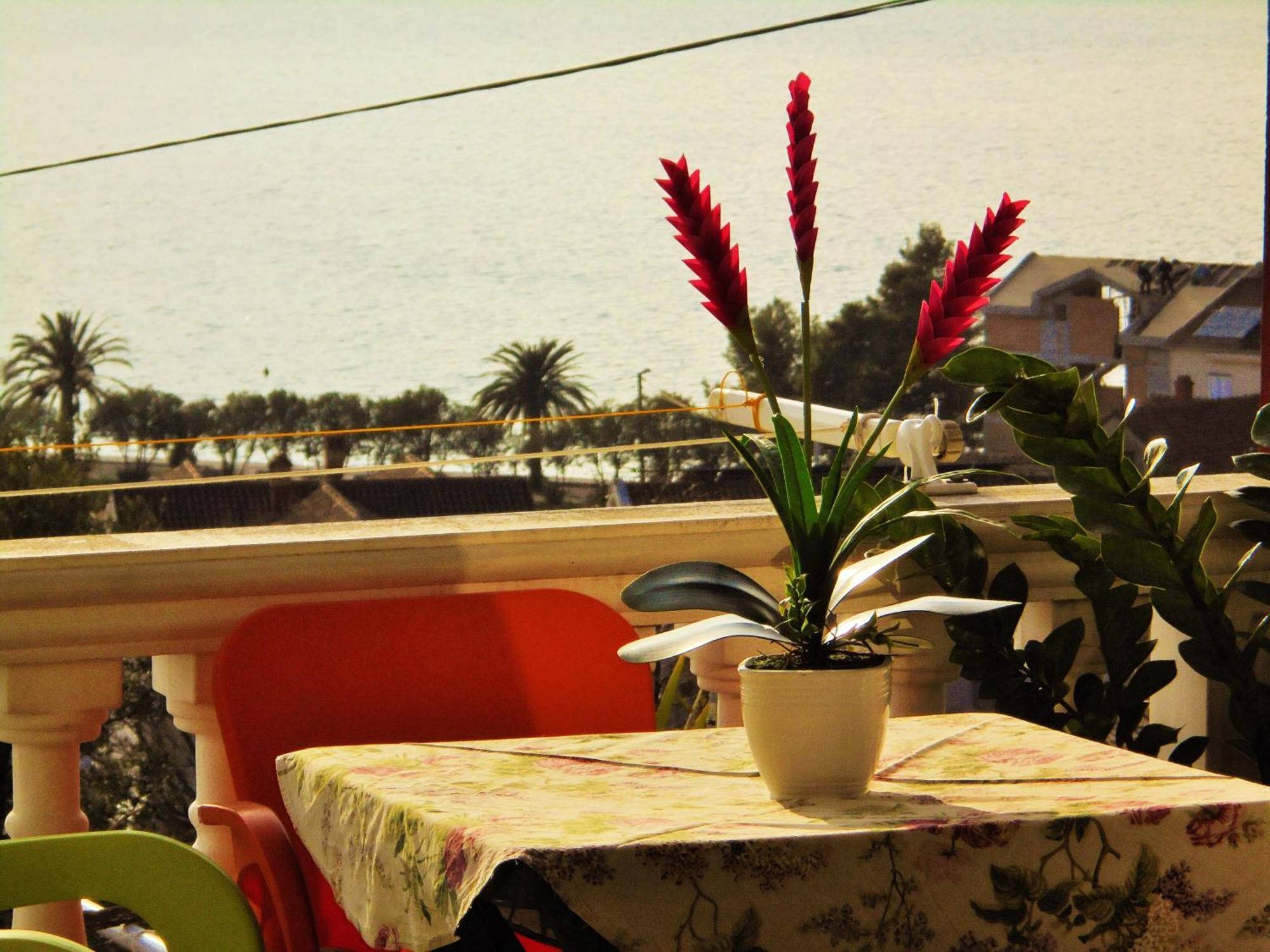 Villa Lastva Apartments تيفات المظهر الخارجي الصورة